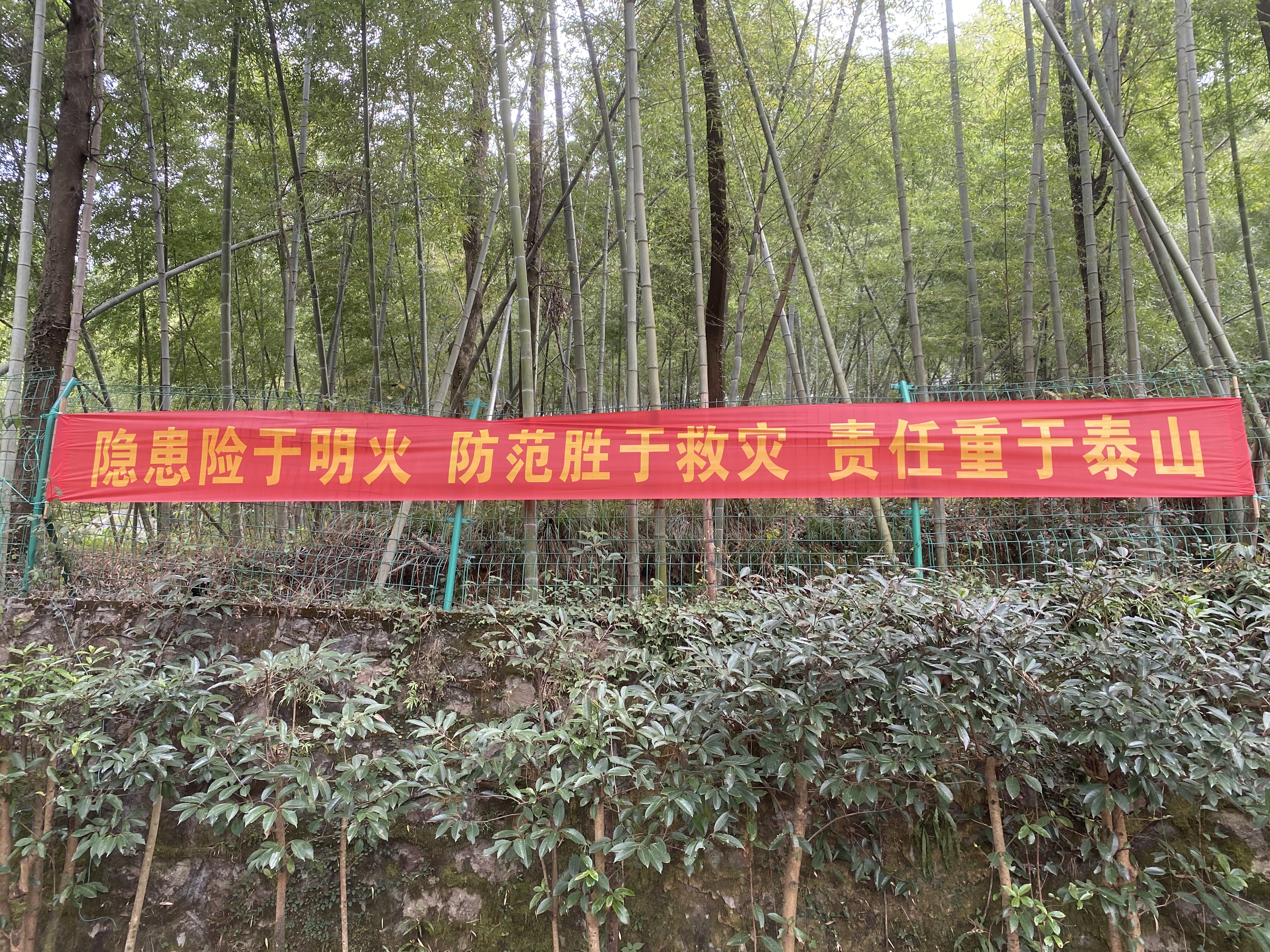 1669019937964687.jpg 所內(nèi)橫幅.jpg